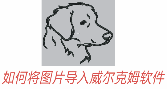 QQ图片20230527171353.png